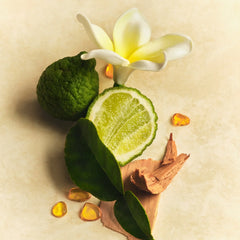 Hair & Body Mist - Home Choice